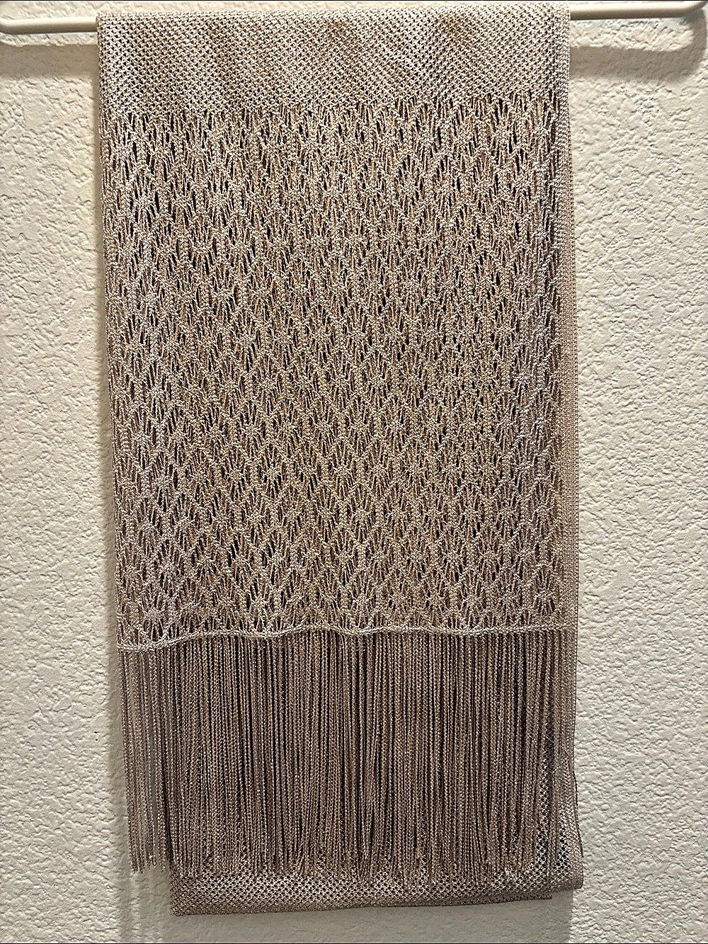 Cejon Metallic Fringe Scarf